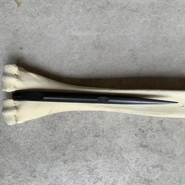 Covert Carbon Fiber Spike 1/2" - One-off